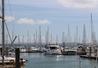 English Naturally Junior - Lymingtont004